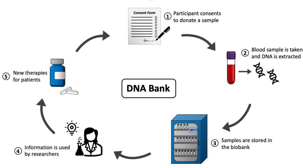 Biobank Research Motor Neurone